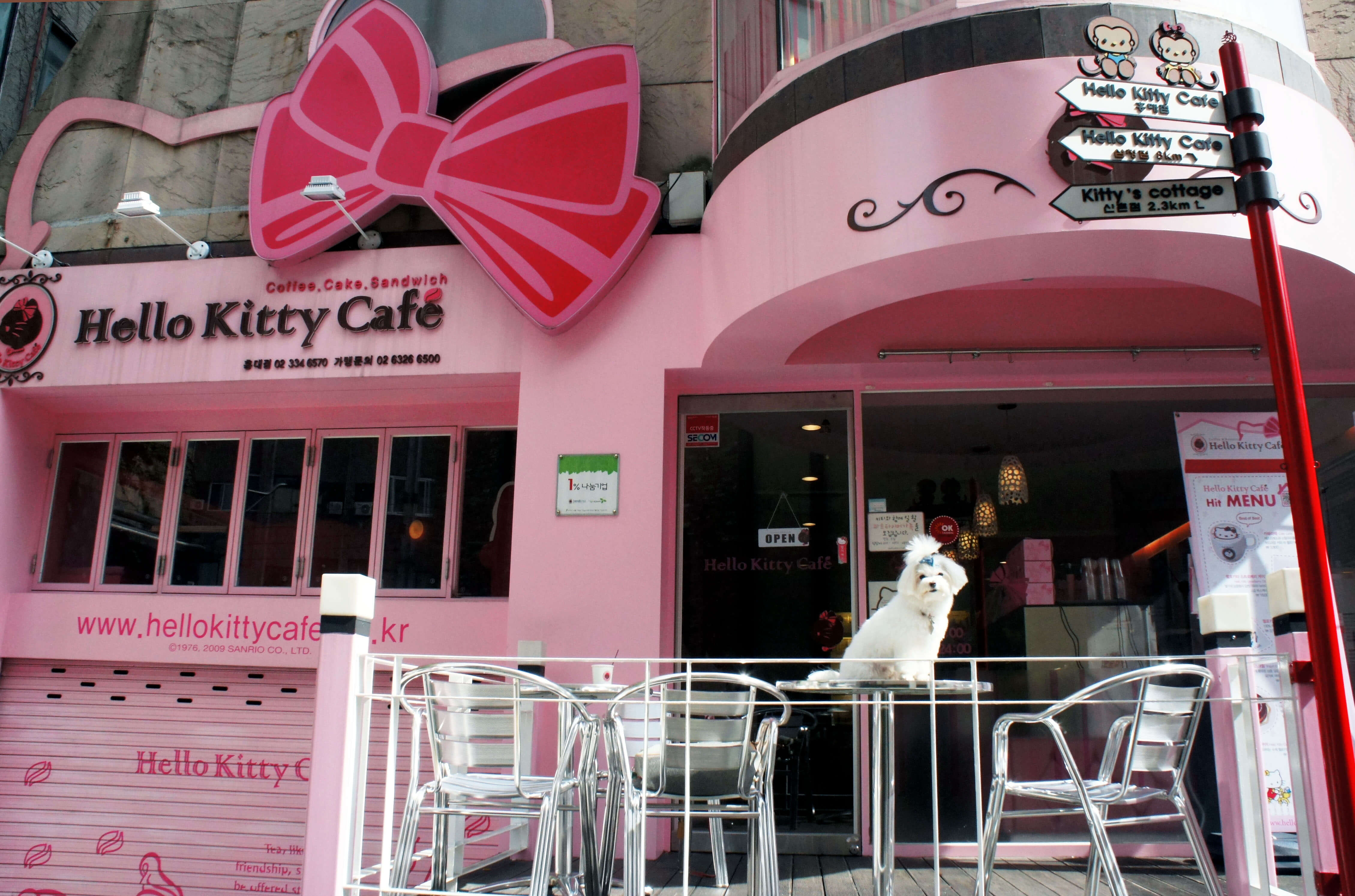 Hello Coffee, Hello Kitty