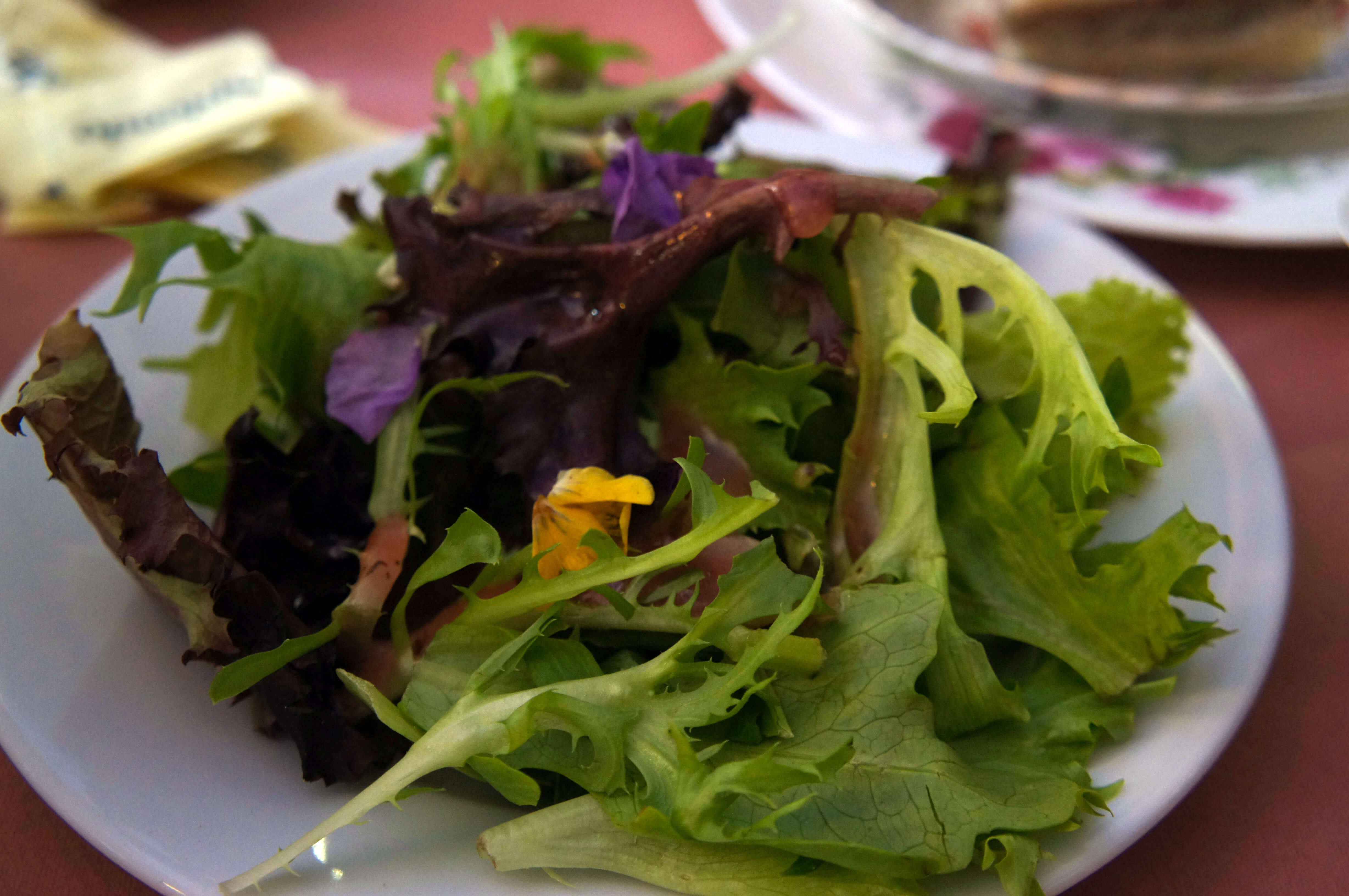 Spring Petal Salad