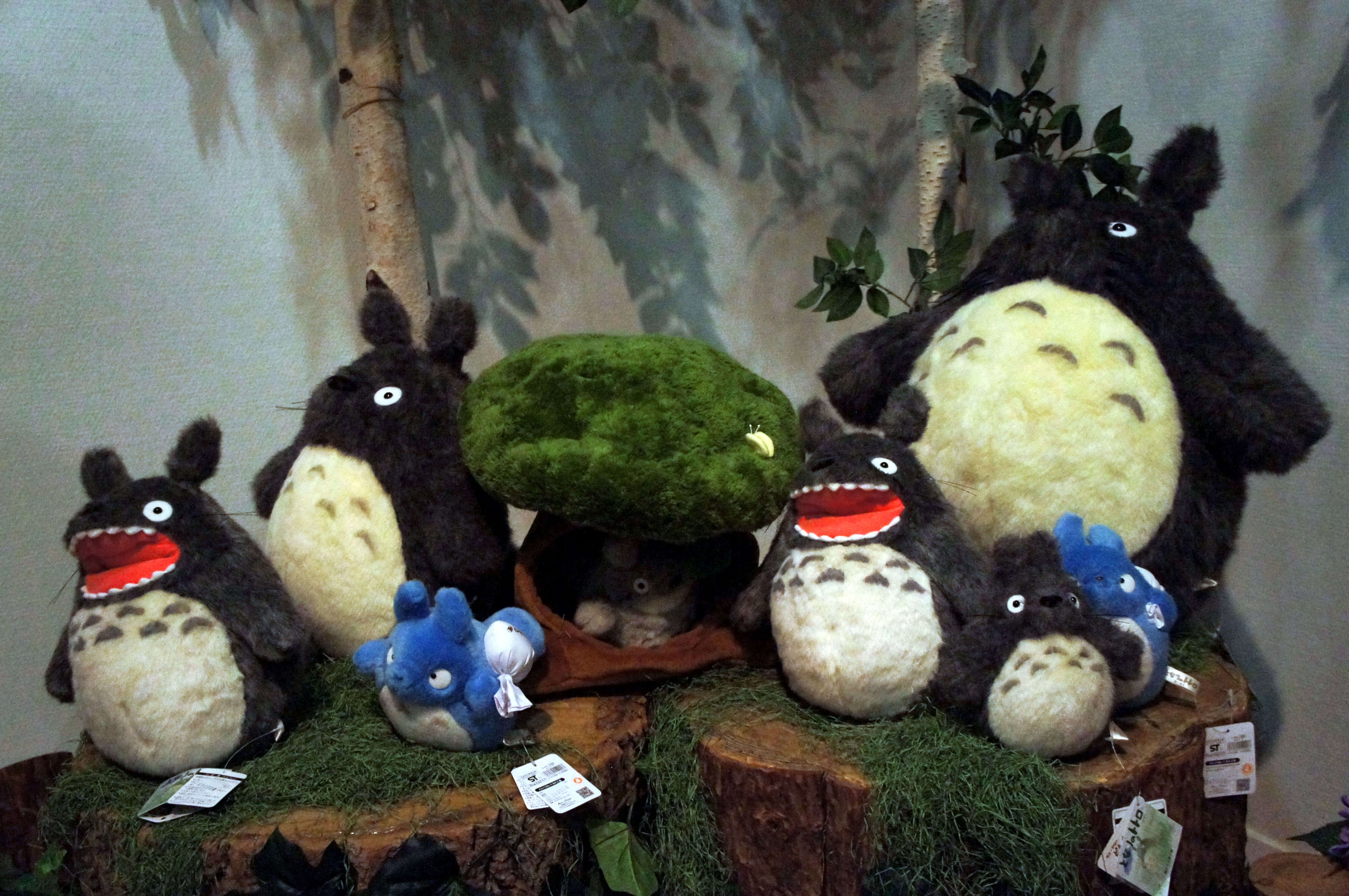 Totoro Family 