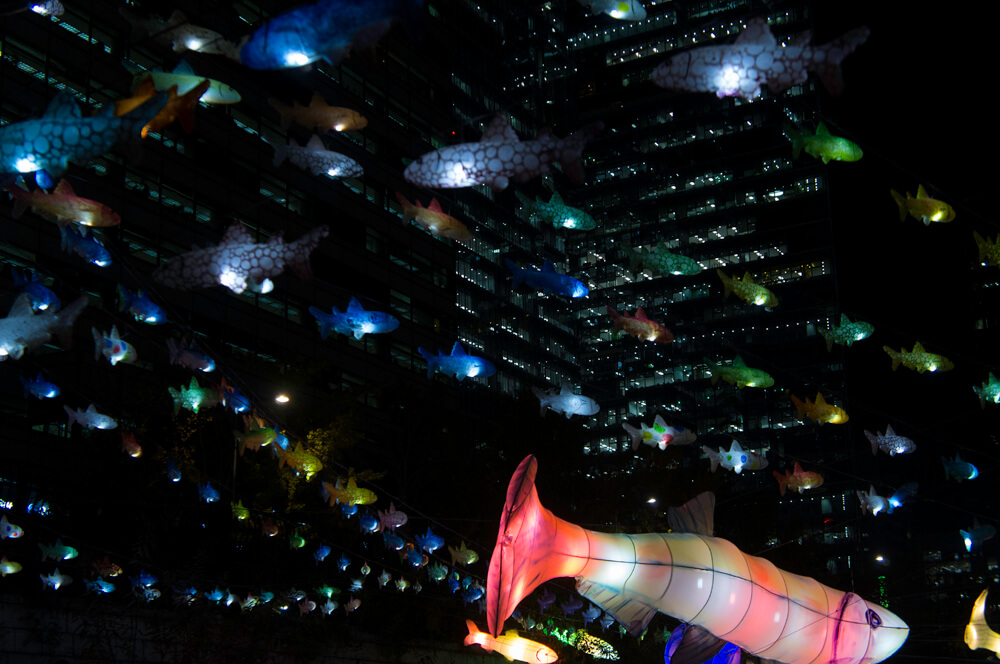 2013 Seoul Lantern Festival