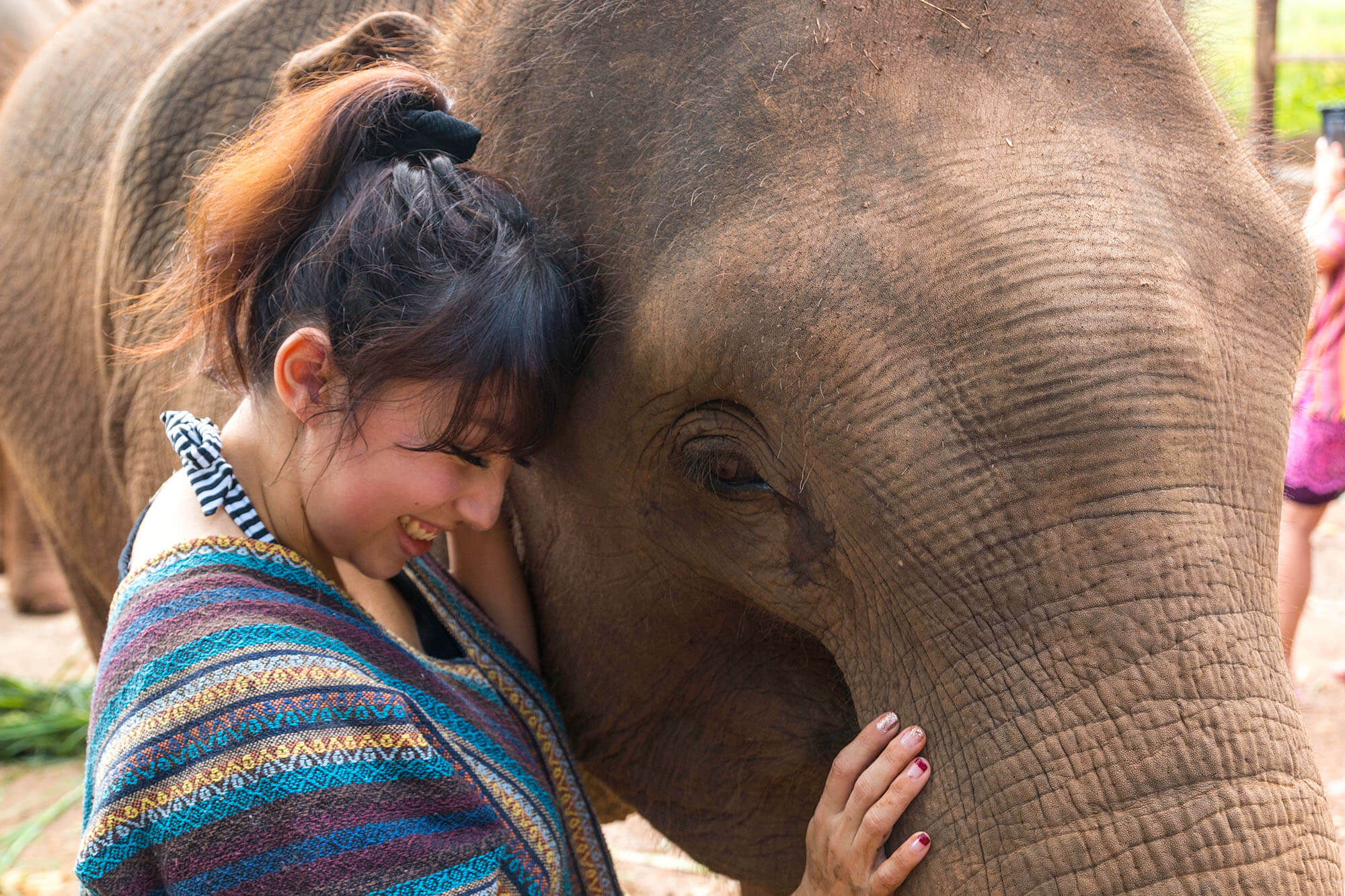 Chiang Mai, Thailand: Elephant Jungle Sanctuary
