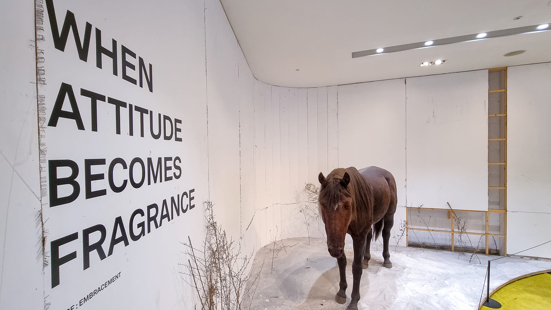 What to Buy in Seoul; Tamburins