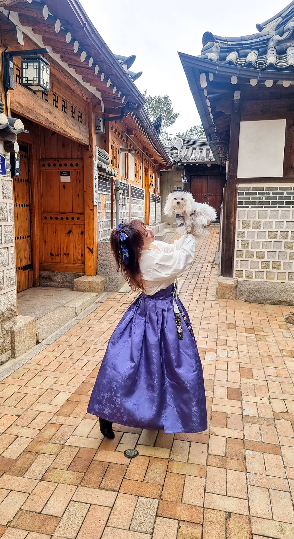 20250126 135320 2b Seoul Searching