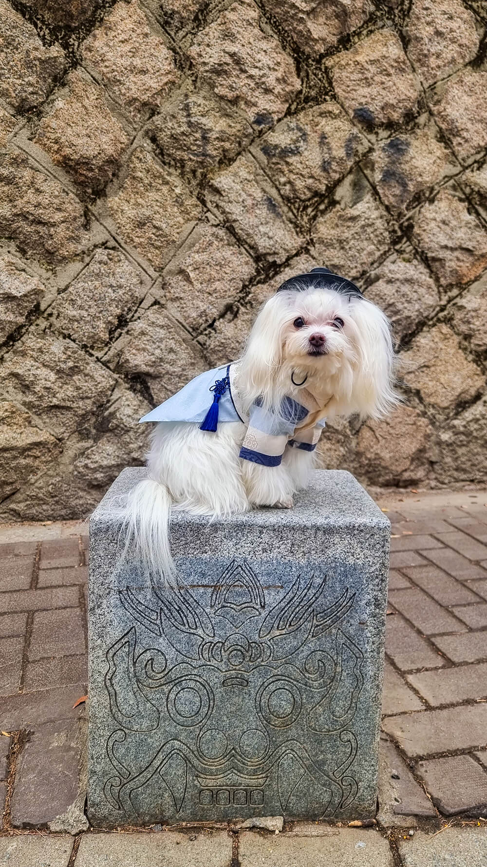 20250126 142438 2b Seoul Searching