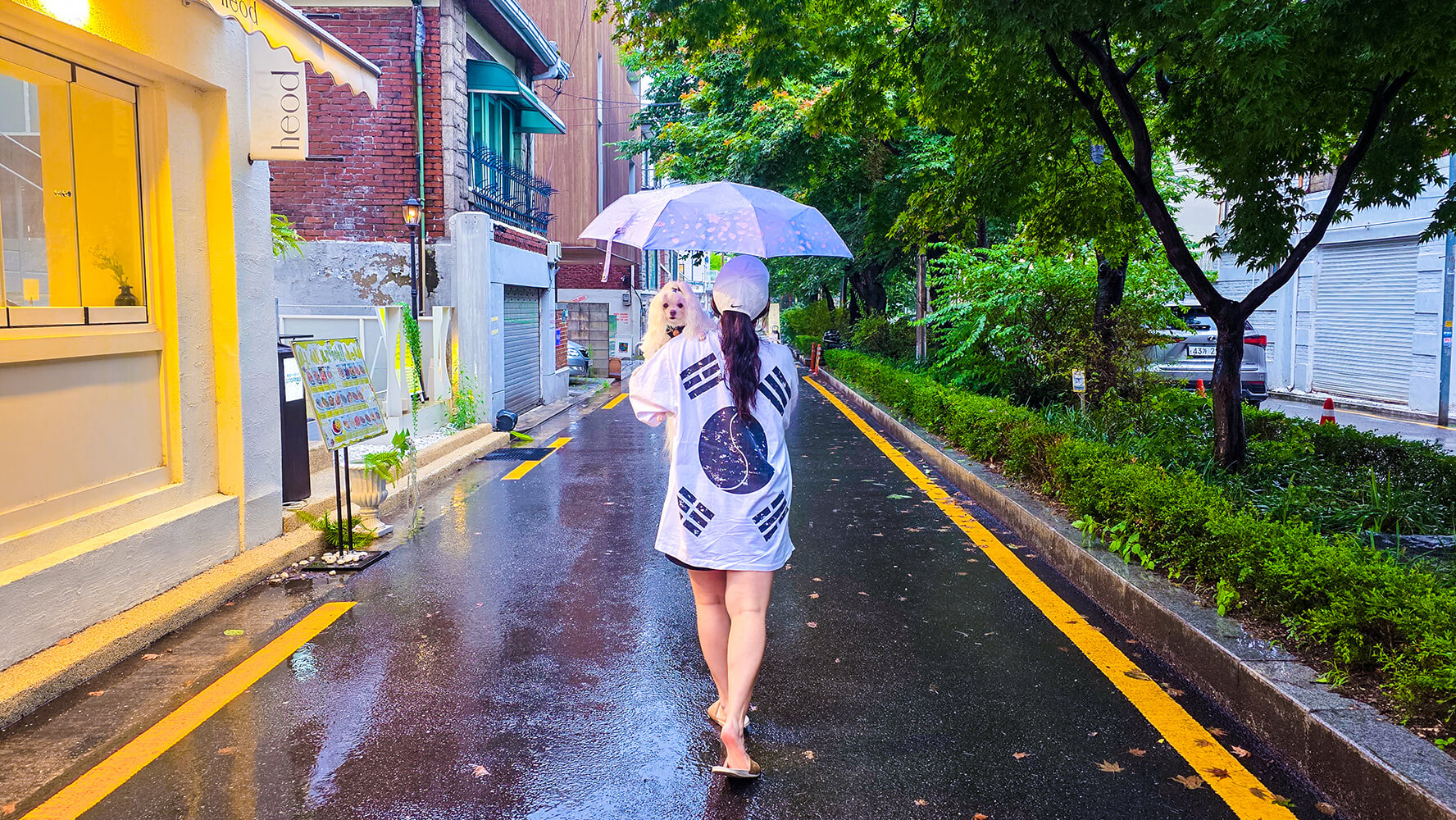 Things to Do in Korea in August, 2025