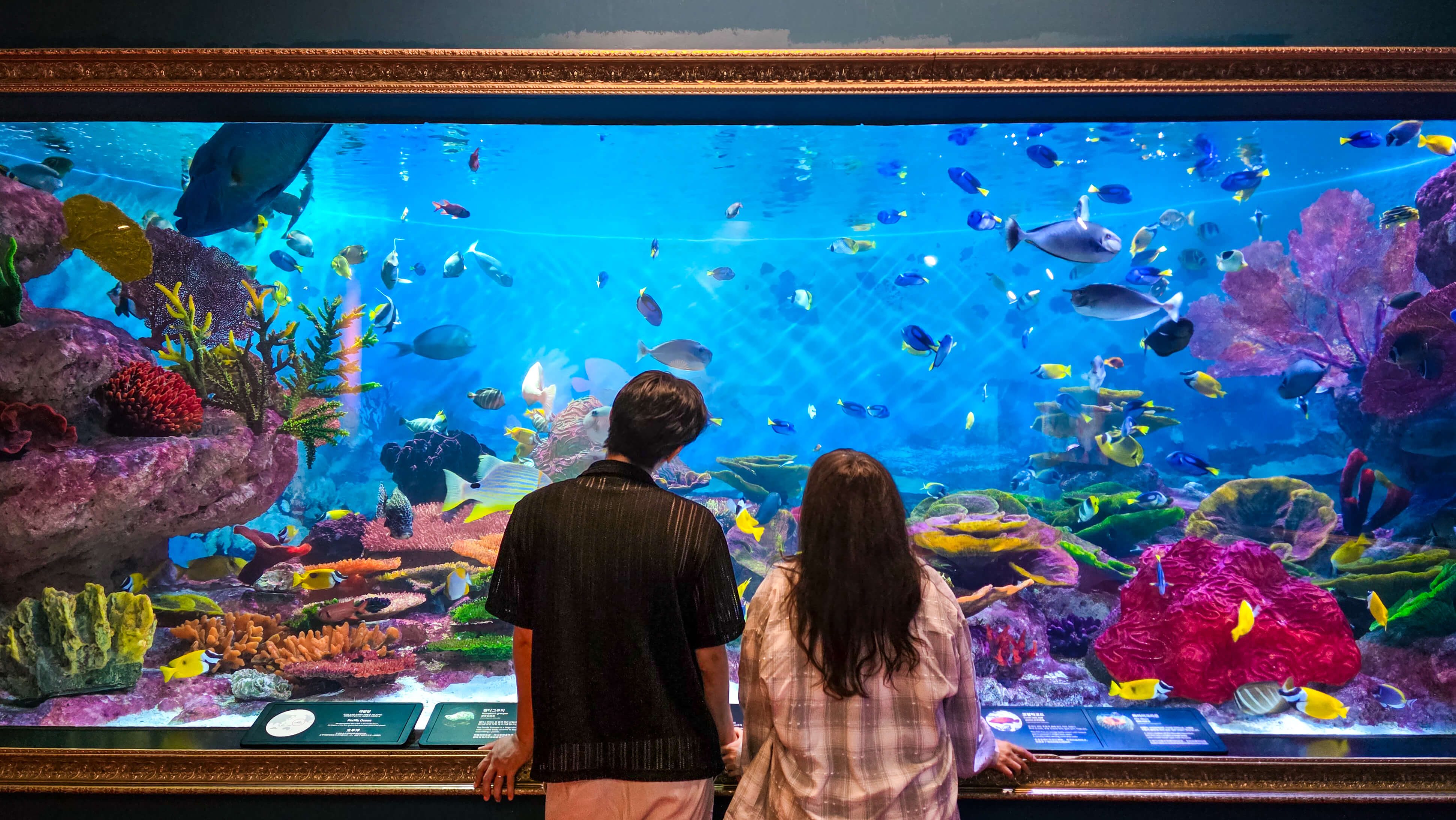 The COEX Aquarium’s Stunning Sea Life in Seoul